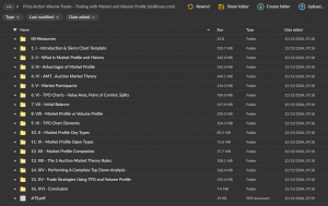 Price Action Volume Trader - Trading with Market and Volume Profile