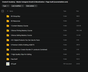 CreatorX Academy – Master Instagram Growth & Monetization + Page Audit