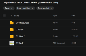 Taylor Welch – Blue Ocean Content YouTube Mastery