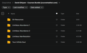 David Ghiyam – Courses Bundle