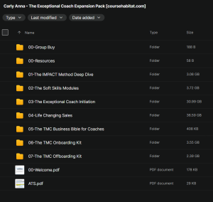 Carly Anna – The Exceptional Coach Expansion Pack