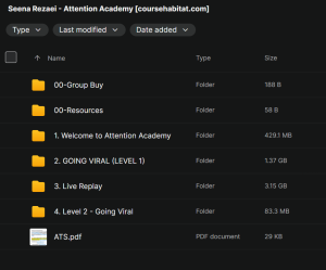 Seena Rezaei – Attention Academy