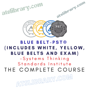 Systems Thinking Standards Institute – Blue Belt-PST