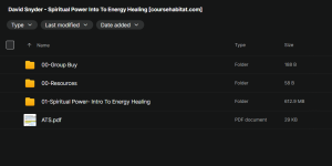 David Snyder – Spiritual Power Into To Energy Healing