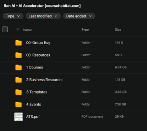 Ben Ai – AI Accelerator
