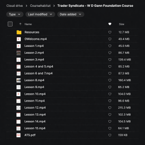 Trader Syndicate – W D Gann Foundation Course