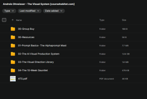 Andreis Ohneisser – The Visual System