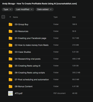 Andy Skraga – How To Create Profitable Reels Using AI